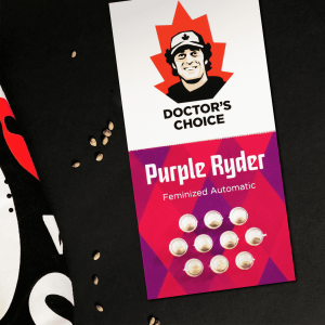 PURPLE RYDER AUTO