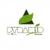 Pyramid Seeds