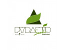PyramidSeeds