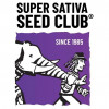 Super Sativa Seeds Club